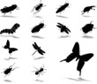 Set buttons. Insects