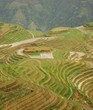 terrasse de riz du guangxi en chine
