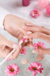 manicure