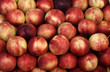 Pèches au marché Pèches au marché
