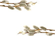 Catkins