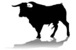Toro Toro