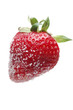 Sugared Strawberry Sugared Strawberry
