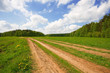 Road in the fields