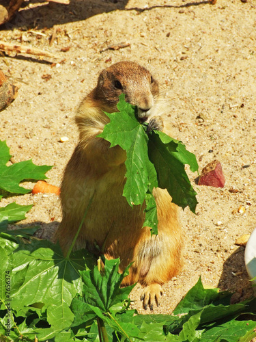 Photo: Es schmeckt ... Es schmeckt ...