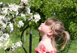 Photo: My first spring My first spring
