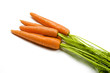 Bunch of carrots