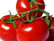 Tomates