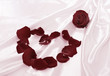 Roses background Roses background