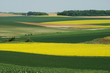 Cultures de colza et de blé,Aisne,Picardie Cultures de colza et de blé,Aisne,Picardie
