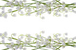lily of the valley lily of the valley