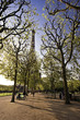 Paris Paris