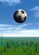 Landscape with football