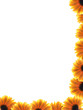 Flower frame