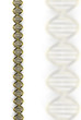 DNA concept