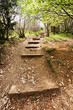 Chemin dans une forêt des Bauges (Savoie) Chemin dans une forêt des Bauges (Savoie)