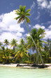 Bora Bora beach