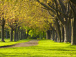 Path in a park Path in a park