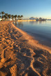 Beach and boats