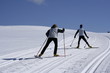 Skieur de fond