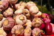 Garlic and Onion Bulbs