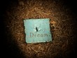 Dream