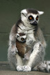 Family Moment