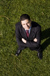 Businessman in the grass