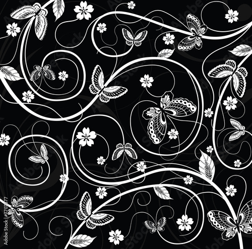 butterfly butterfly