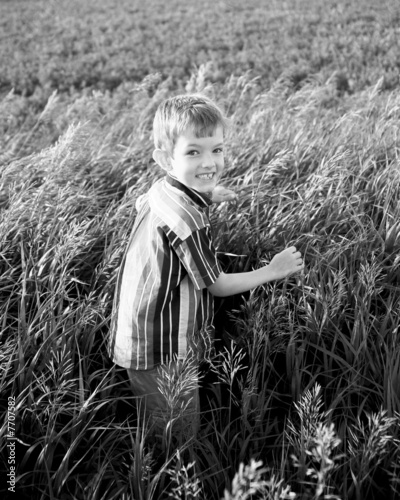 Photo: happy boy in field happy boy in field