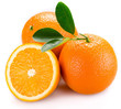 사진:orange orange