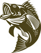 Largemouth bass