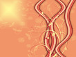 ornaments and curved lines