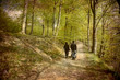 Family walk in the Beech forest.