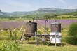 L'alambic provençal
