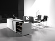Black and white living room