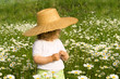 Little girl on the daisy field