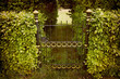 Nice old golden and black gate.