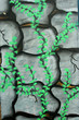 grafitti image