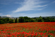 Aix en provence