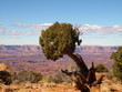 Canyonlands Nationalpark