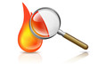 Etude du feu