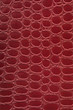 Photo: texture texture