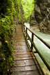 path