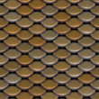 Brown Scales