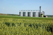 Silver Silo