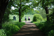 Two horse riders emerging from the forest Two horse riders emerging from the forest