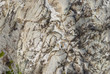 Grainy Rock Texture
