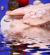 fisch