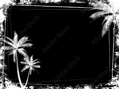 grunge palm tree background